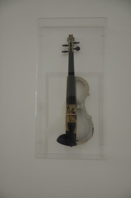 violino _DSC1921